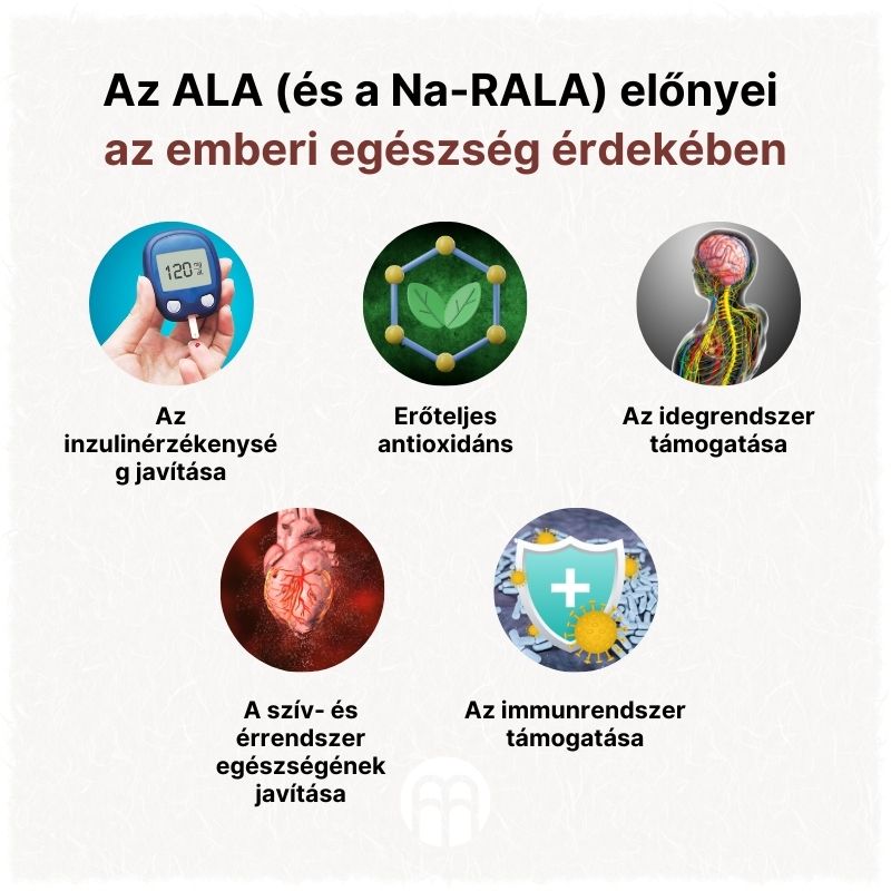(Maďarština) Přínosy ALA (a Na-RALA) pro lidské zdraví